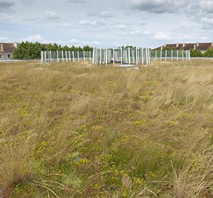 La végétalisation de toiture Sopranature® Pampa