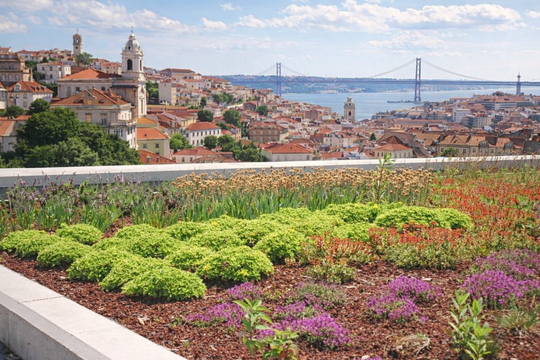 Como as coberturas verdes transformam as cidades