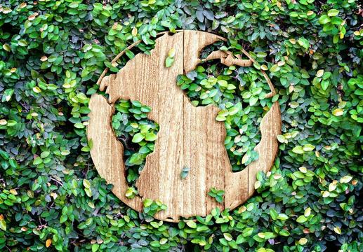 Quais são os principais objetivos do desenvolvimento sustentável?