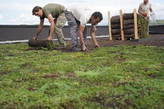 As alterações climáticas e a importância da descarbonização