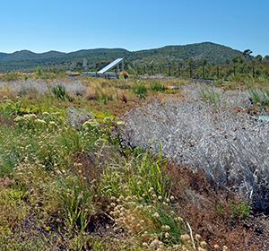 La végétalisation de toitures Sopranature® Garrigue