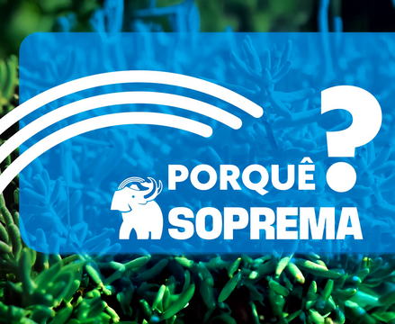 Porquê escolher a SOPREMA para soluções de impermeabilização e isolamento?